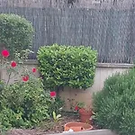 Matea Vica Apartman, *