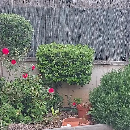 Matea Vica Apartman, *